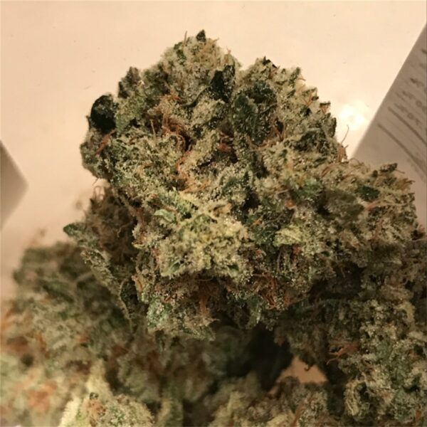 gorilla-glue--4__